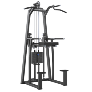 Aerofit AF-4307 Dip Chin Assist (COMPACT SERIES)