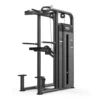 Aerofit AF-4809 Dip chin Assist (Aero Power Series)