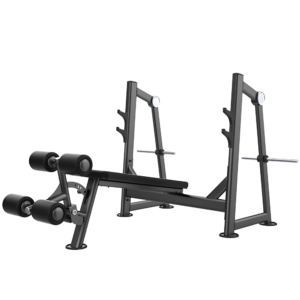 Aerofit AF-4834 Decline Bench (AERO POWER SERIES)