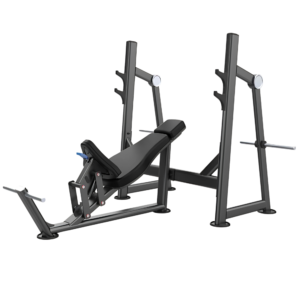 Aerofit AF-4835 Incline Bench (AERO POWER SERIES)