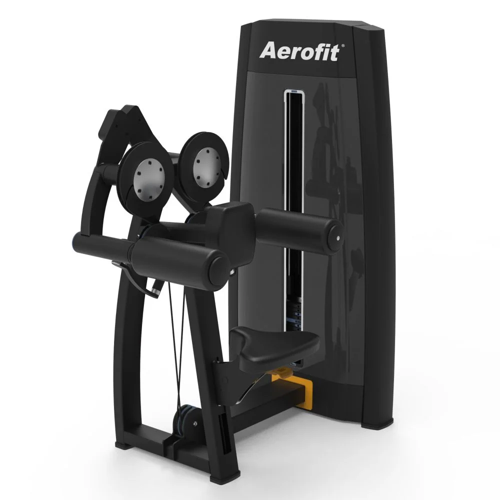Aerofit AF-6203 Lateral Rise (HURRICANE SERIES) - Image 2