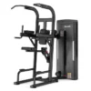 Aerofit AF-6525 Easy Chin / Dip (Hawk Series)