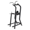 Aerofit AF-2814 Chin Up Dip / Vertical Knees Up (AERO LITE SERIES)