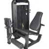 Aerofit AF-4602 LEG EXTENSION