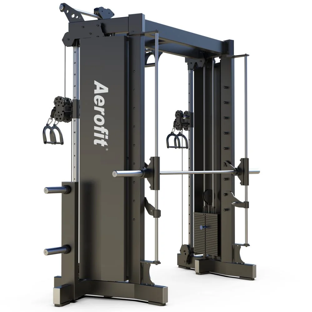 Aerofit AF-4919 Multi-Functional Trainer(without counter balance) - Image 2