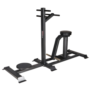 FITPRO Fitness FP-119 Double Twister I Dual Twisting Platforms I Standing and Seated Twisting Exercises I Low-Impact Workout