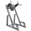 FITPRO Fitness FP-113 Vertical Knee Raise I Thick Arm Pads I Proper Back Support I Properly Aligned Hand Grips
