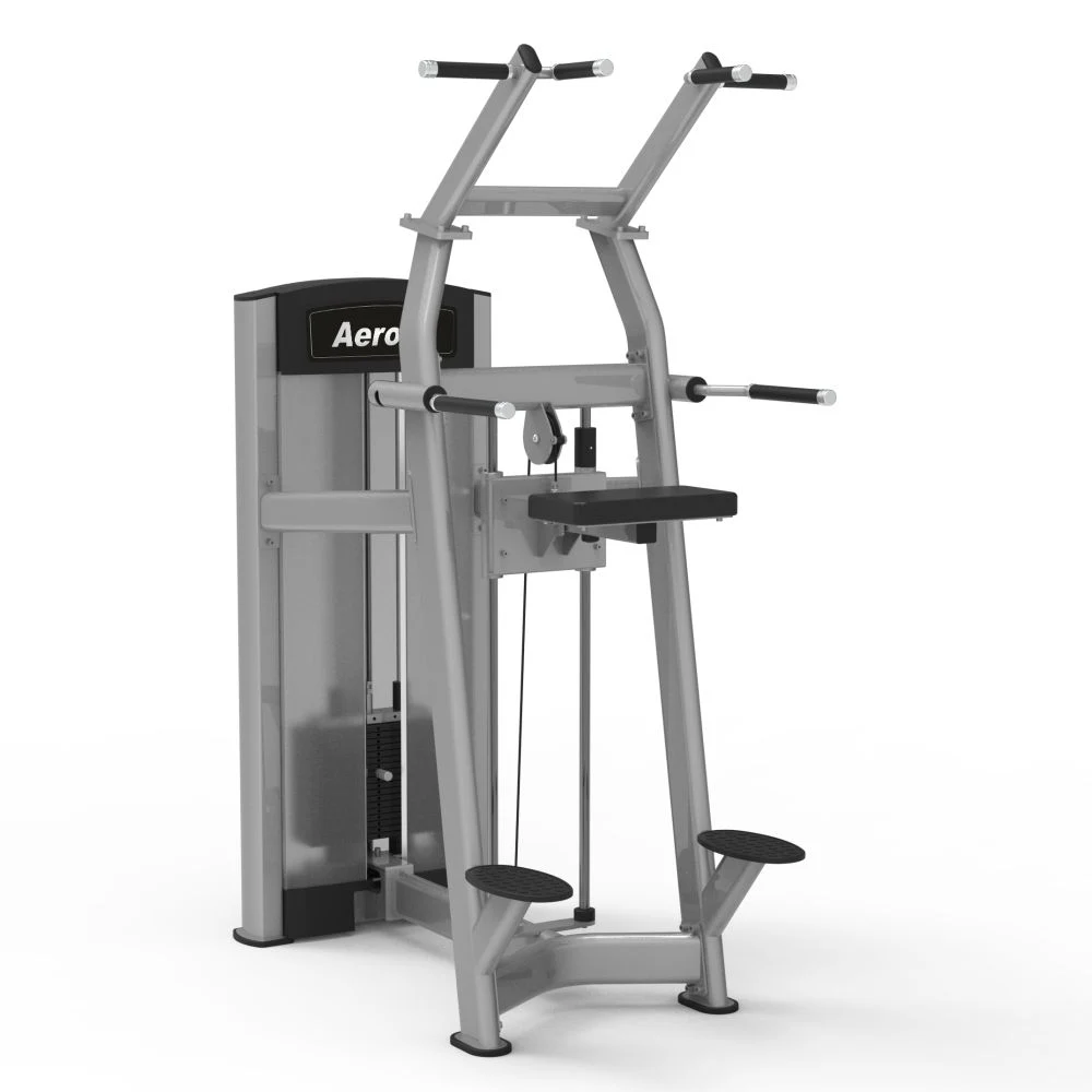 AF-6107 Assisted Chin/Dip (ZEAL SERIES)