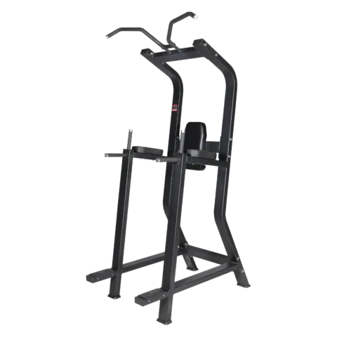 AF-2814 Chin Up Dip / Vertical Knees Up (AERO LITE SERIES)
