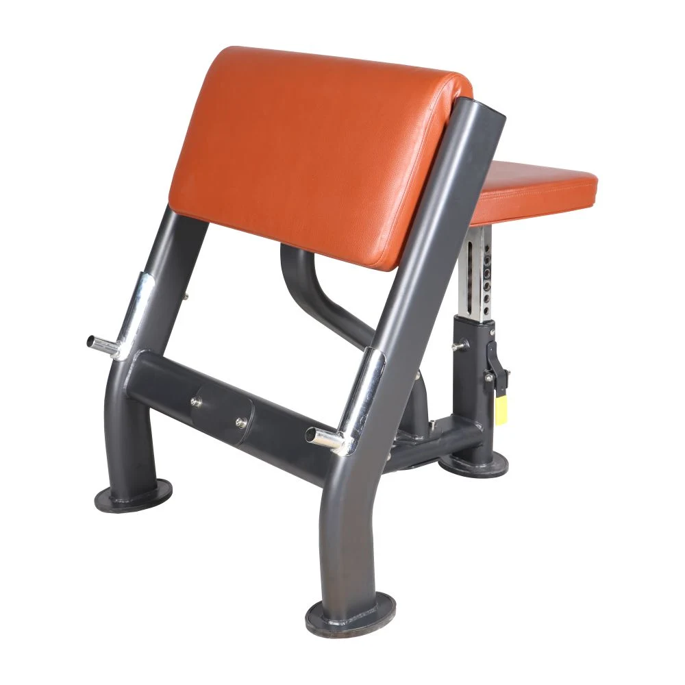 AF-9921 ARM CURL TRAINING – (SO)